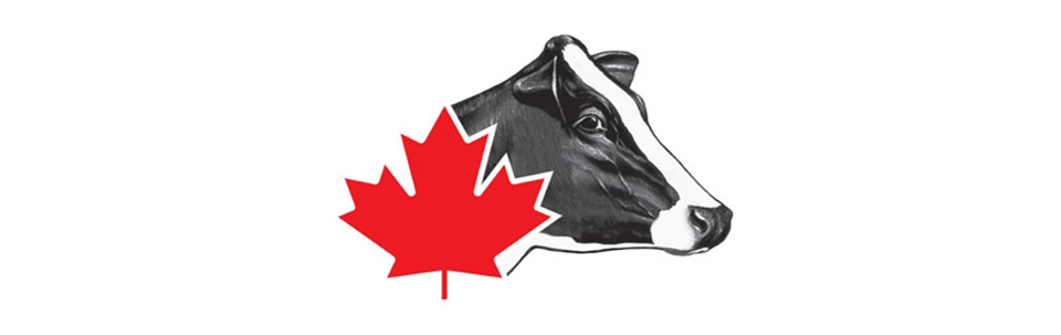 holstein logo 