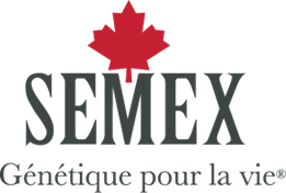 semex