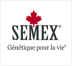 Semex