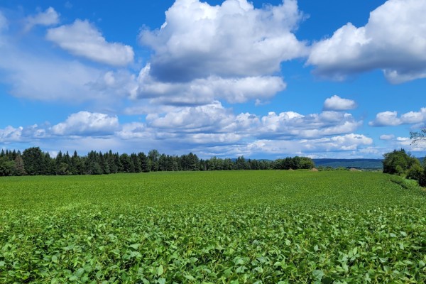 Une ferme laitière canadienne