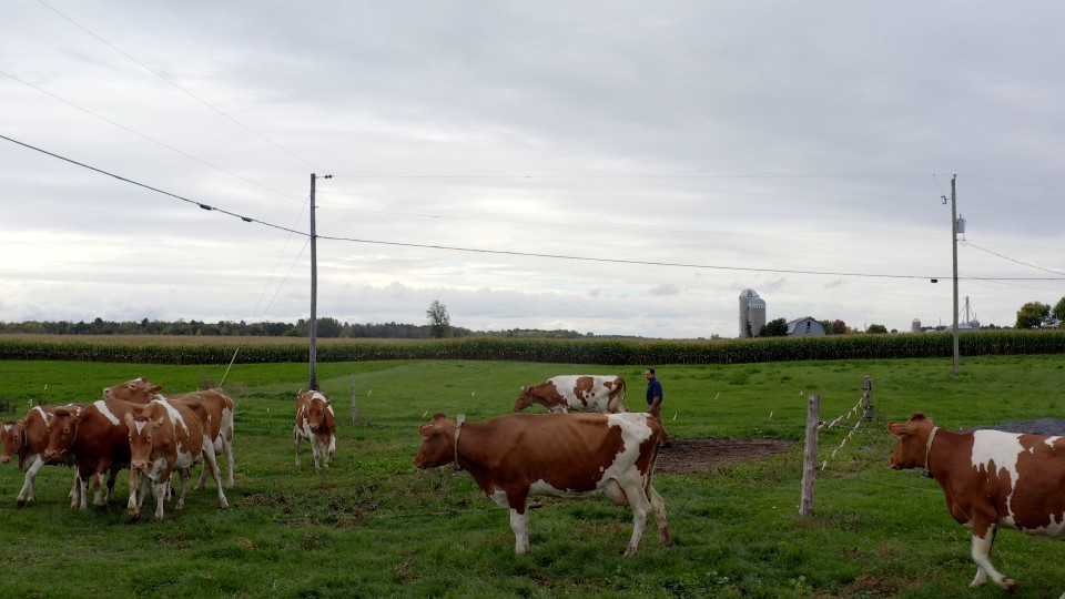 CleanFarms