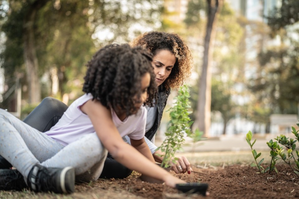 Gardening at home