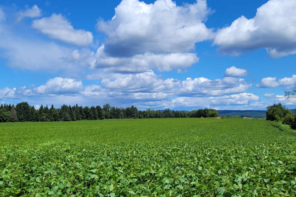 Le Cuisinomane visits a Canadian dairy farm