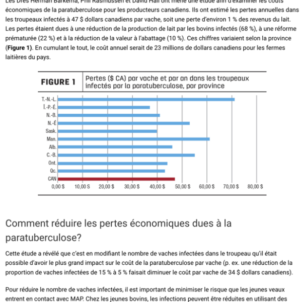 Quel est le coût de la paratuberculose? Il est peut-être plus élevé que vous ne le pensiez!