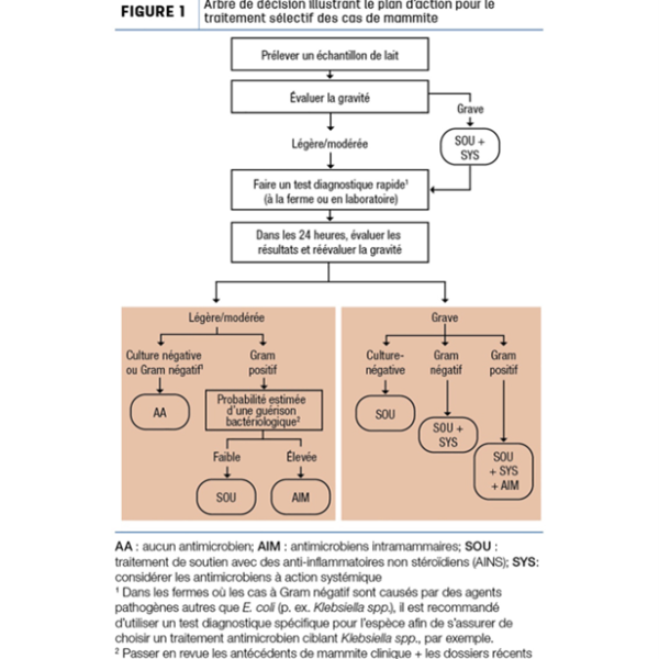 Devrions-nous faire un traitement sélectif de la mammite clinique