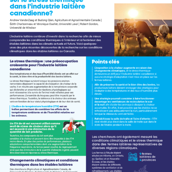 Quel est l’impact des changements climatiques sur le stress thermique dans l’industrie laitière canadienne?